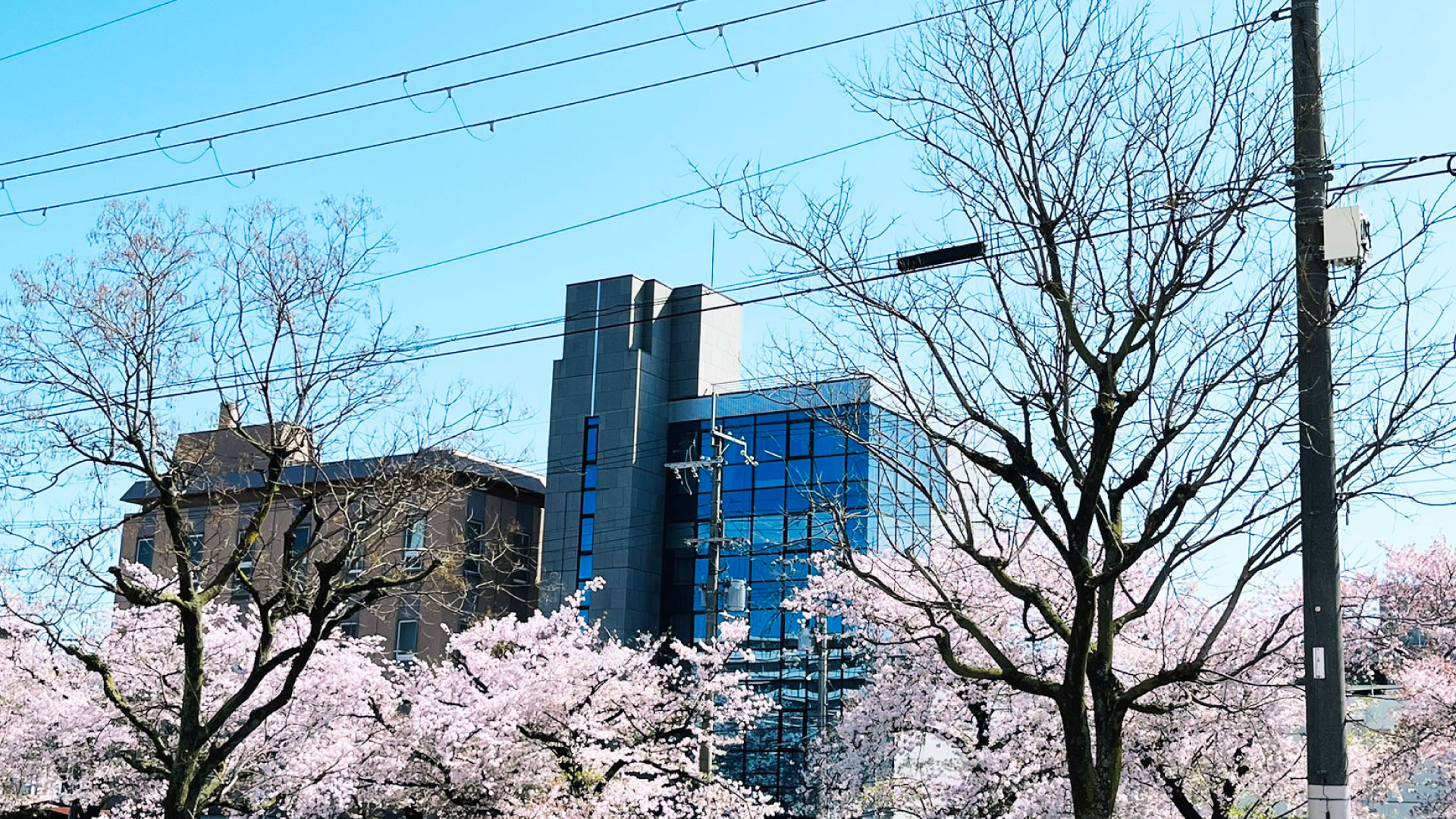 大きな風景写真
