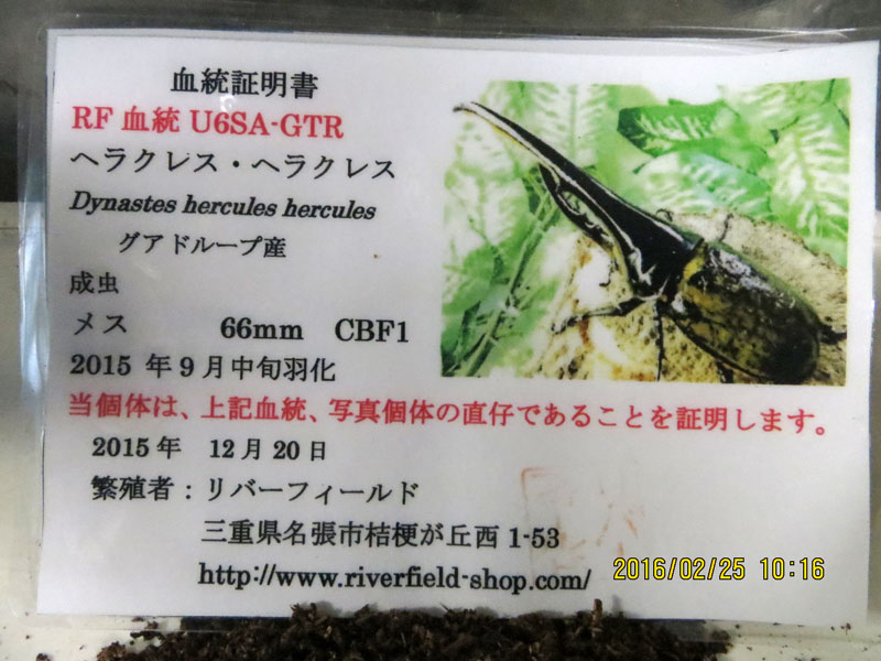 【HirokA】OF系統